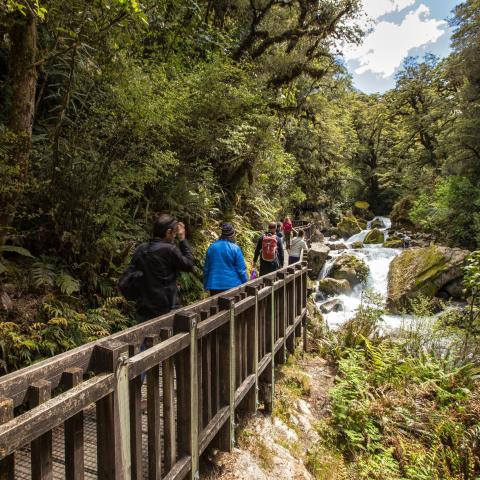 a group of people walking on a bridge