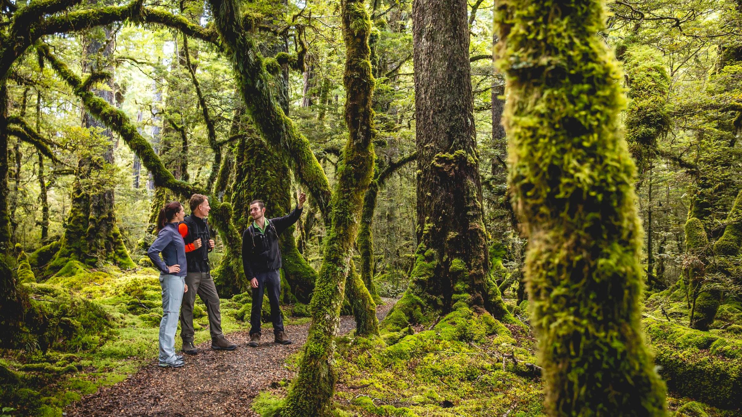 a person standing next to a tree in a forest
