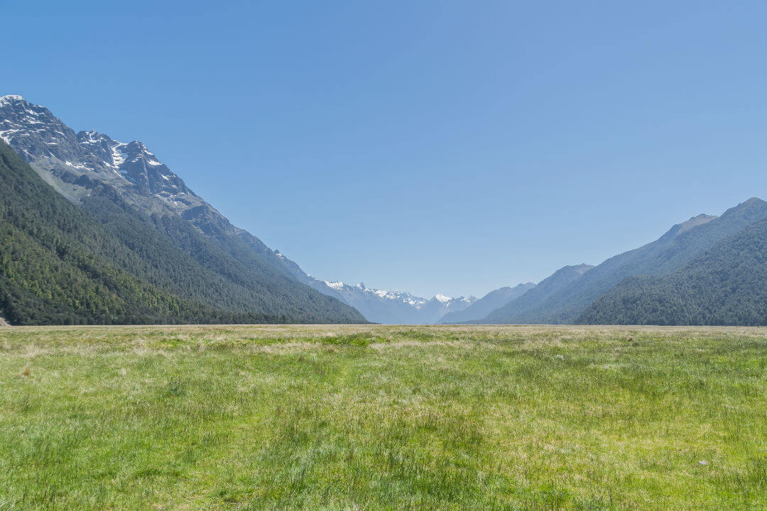 a large green field with a mountain in the background