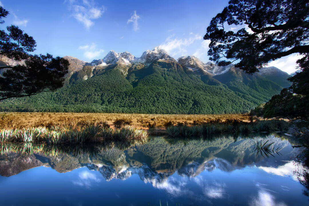 a close up of a hillside next to a body of water