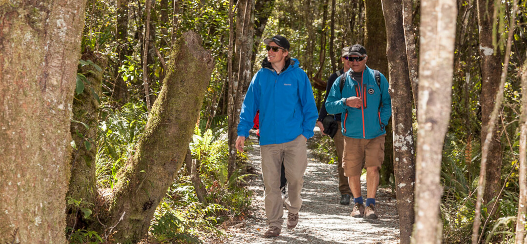 a person standing next to a tree in a forest