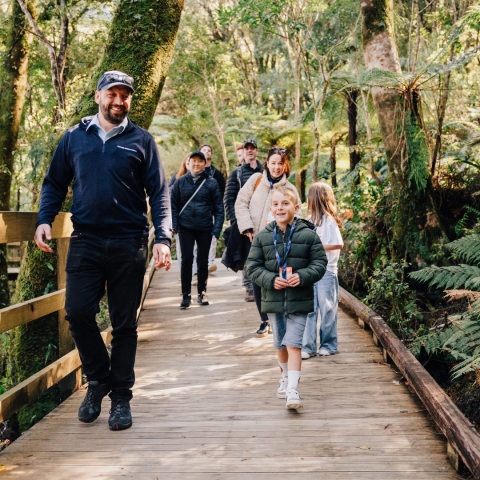 a group of people walking on a path