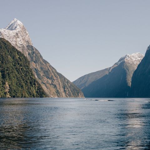 a large body of water with Milford Sound in the background